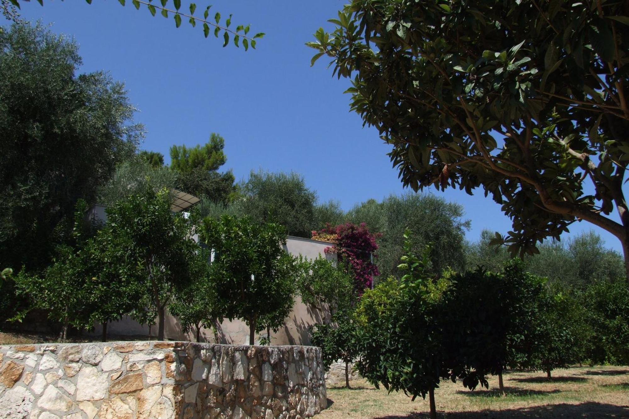 Villaggio Hotel Ripa Rodi Garganico Exterior foto